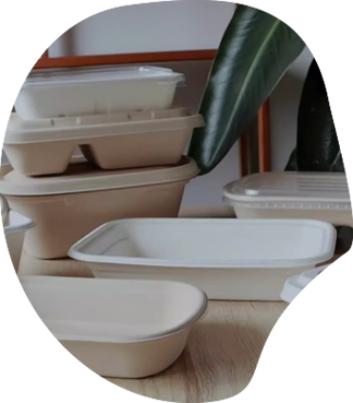 Box da pranzo bio-friendly